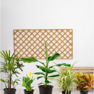tropical plant bundle