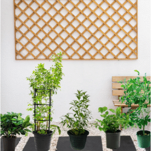 flowering plant bundle